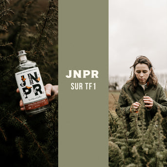JNPR à l'honneur sur TF1 : le succès du sans alcool