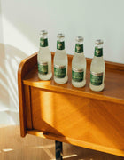 4 Birra allo zenzero - Albero della febbre