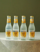 4 Tonici Indiani - Albero della Febbre